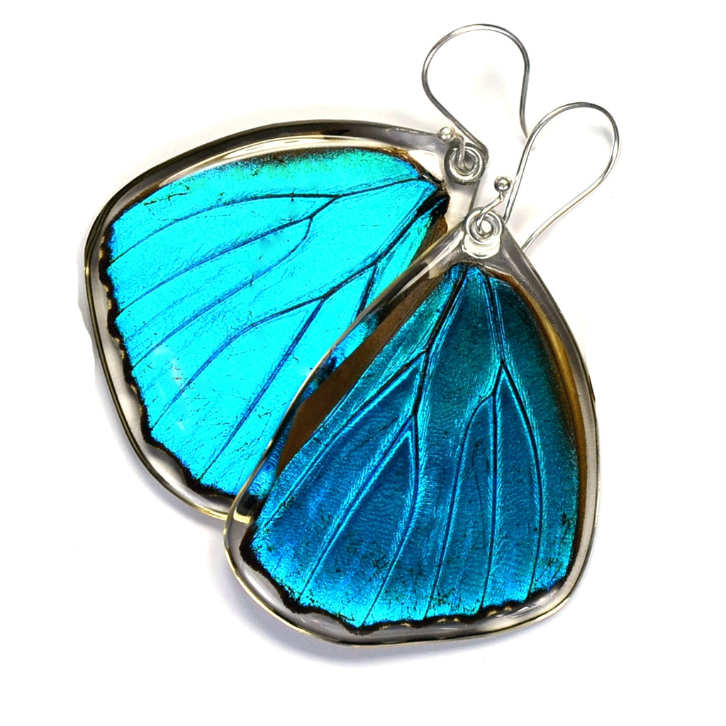 Blue Morpho Butterfly Earring, bottom wing - Sage Moon