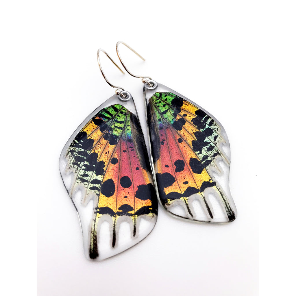 Sunset Moth Earrings - Sage Moon