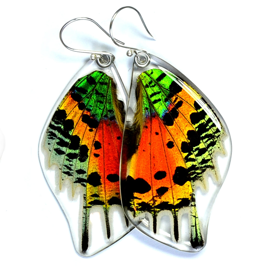 Sunset Moth Earrings - Sage Moon