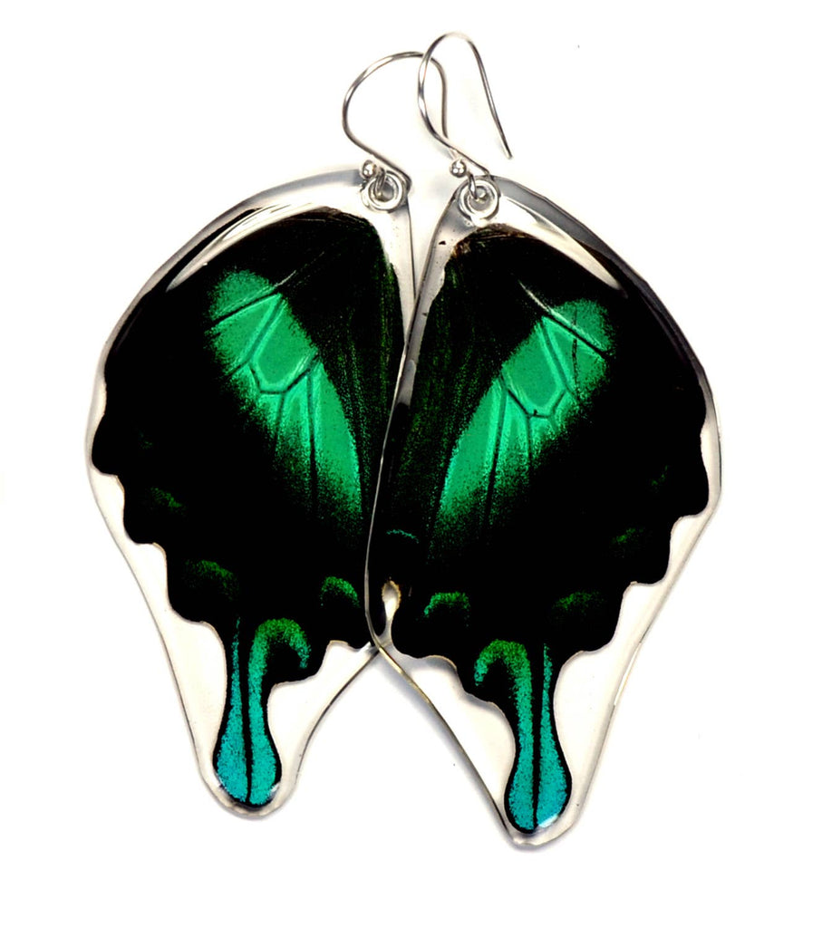 Peacock Swallowtail Butterfly Earring - Bottom Wings - Sage Moon